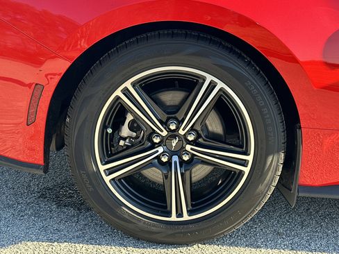 Used 2024 Ford Mustang Premium image 15