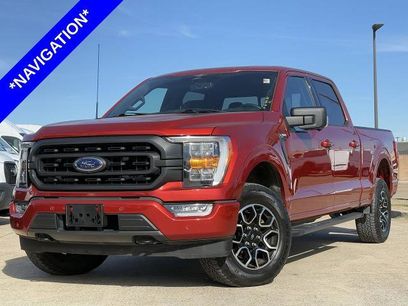 Certified 2023 Ford F150 XLT w/ Equipment Group 302A High