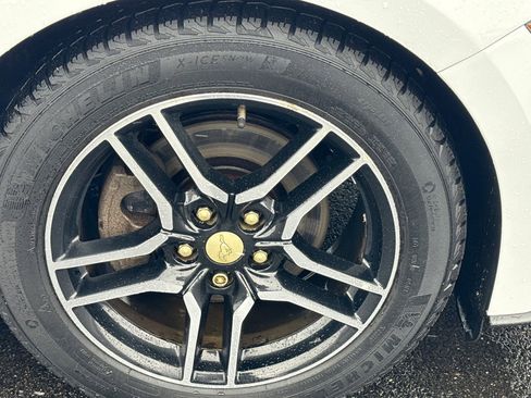 Used 2019 Ford Mustang Premium image 9