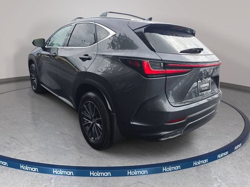 Certified 2025 Lexus NX 250 AWD w/ Cold Area Package image 8