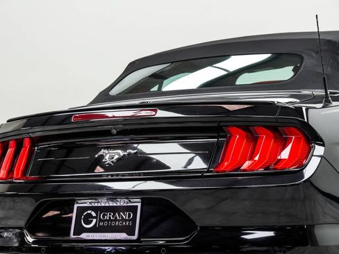 Used 2019 Ford Mustang Premium w/ Equipment Group 201A RWD image 11