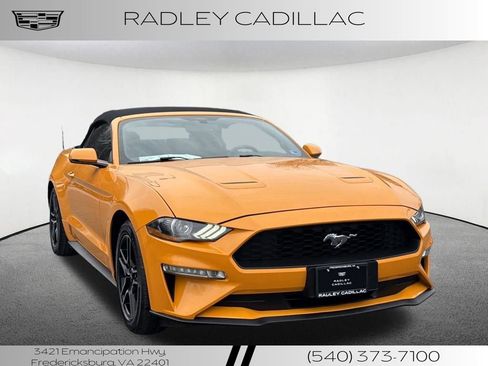Used 2019 Ford Mustang Premium image 20