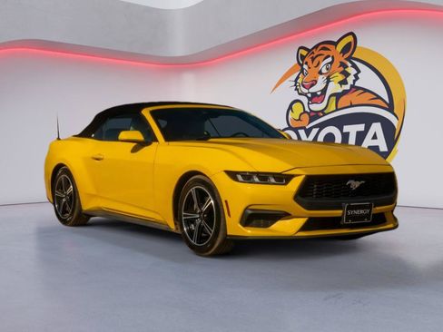 Used 2024 Ford Mustang Premium RWD image 3