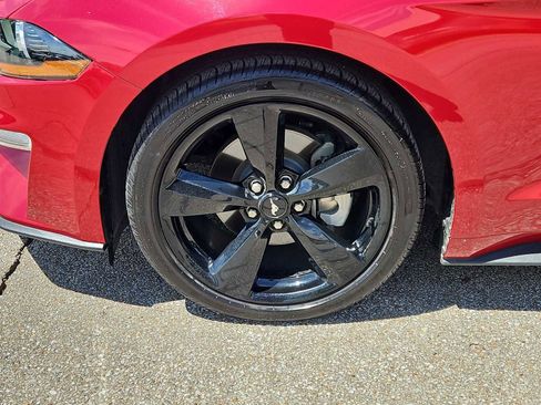 Used 2023 Ford Mustang Coupe w/ Equipment Group 101A RWD image 14