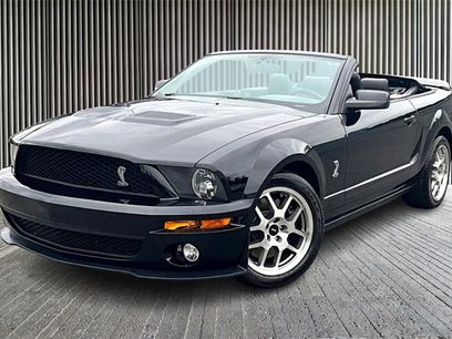 Used 2008 Ford Mustang Shelby GT500