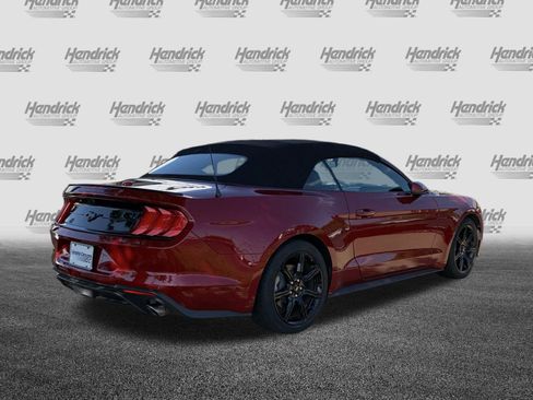 Used 2019 Ford Mustang Premium w/ Equipment Group 201A RWD image 10