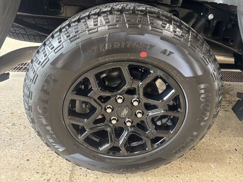 Used 2025 Ford F150 XLT w/ Equipment Group 302A MID image 20