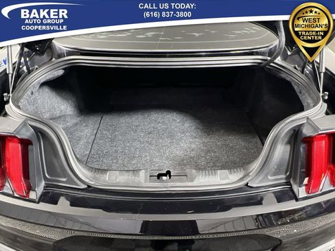 Used 2019 Ford Mustang EcoBoost w/ Equipment Group 101A image 25