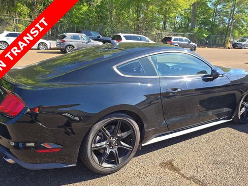 Used 2020 Ford Mustang Coupe w/ Equipment Group 101A RWD image 5