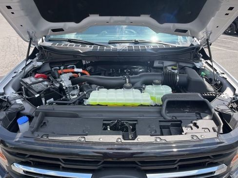 New 2025 Ford F150 XLT w/ Equipment Group 302A MID image 36