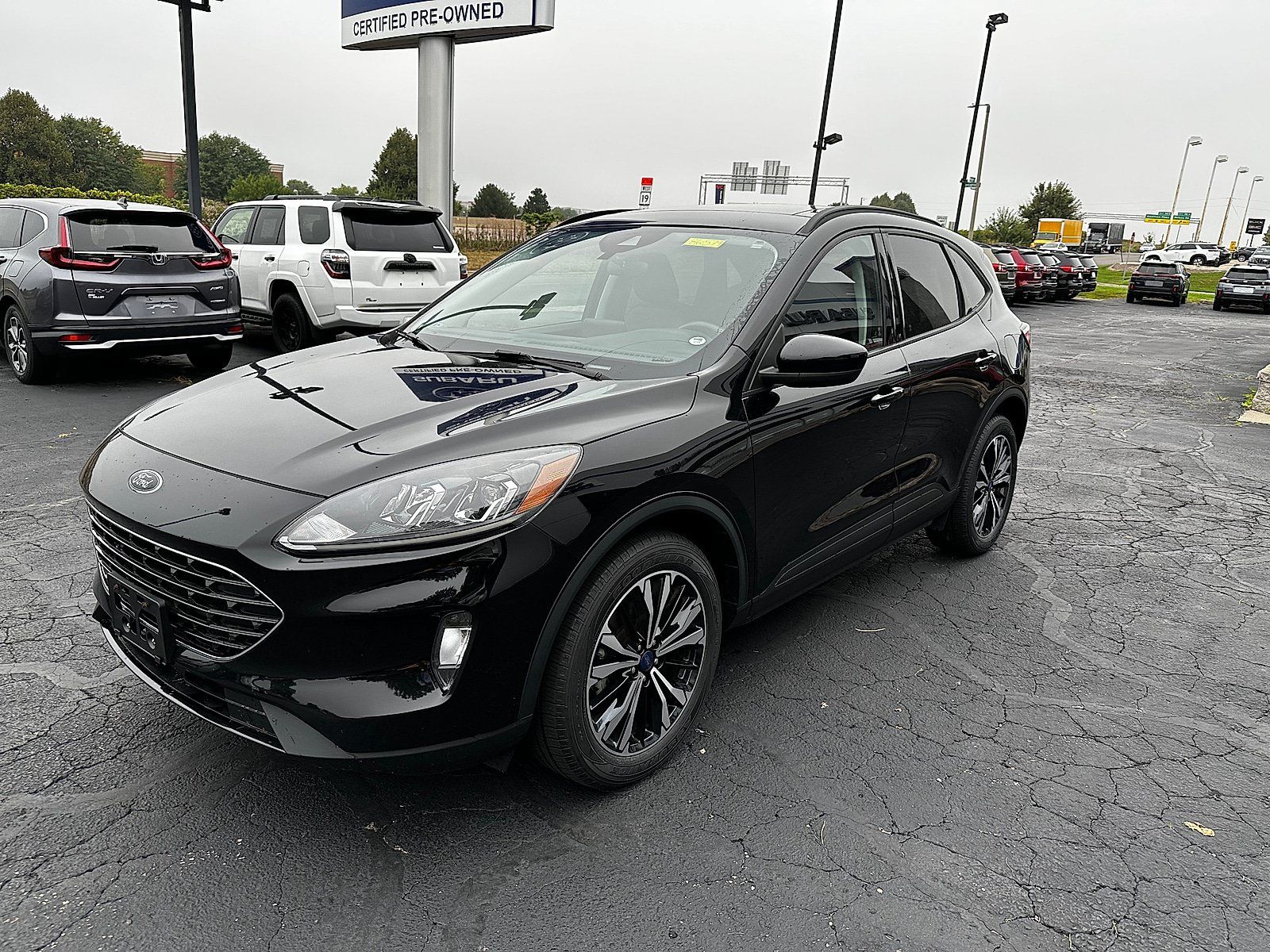 Used 2022 Ford Escape SEL w/ SEL Stealth AWD Package image 6