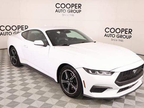 Used 2024 Ford Mustang Premium image 1