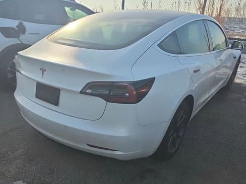 Used 2019 Tesla Model 3 Standard Range Plus image 4