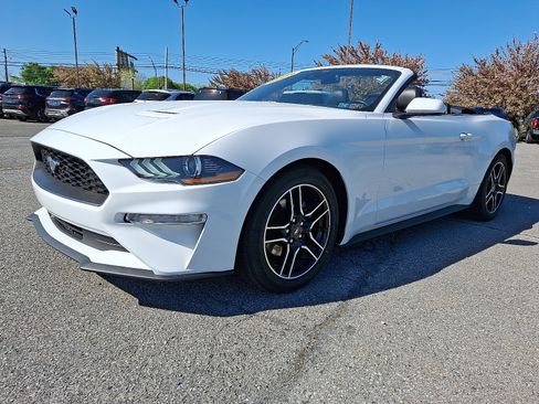 Certified 2023 Ford Mustang Premium image 3