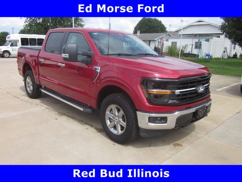 Used 2025 Ford F150 XLT w/ Equipment Group 301A Standard AWD/4WD image 1