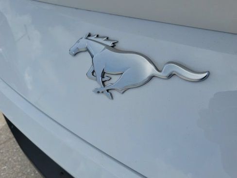 Certified 2024 Ford Mustang Coupe RWD image 7