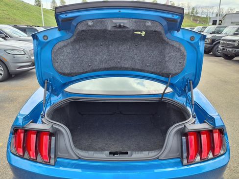 Certified 2019 Ford Mustang Premium w/ Equipment Group 201A image 10