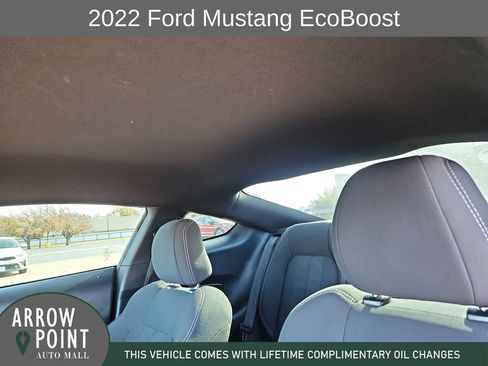 Used 2022 Ford Mustang Coupe w/ Equipment Group 101A image 22