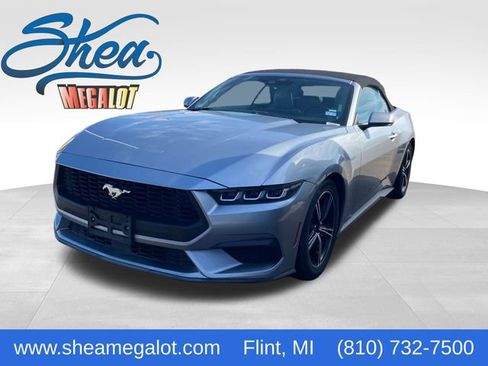 Used 2024 Ford Mustang Premium image 1