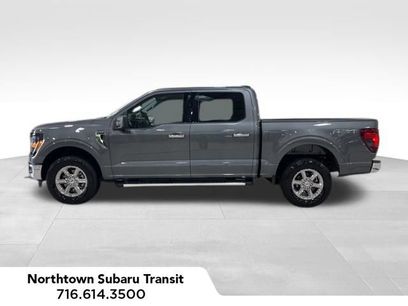 Used 2025 Ford F150 XLT w/ Equipment Group 301A Standard