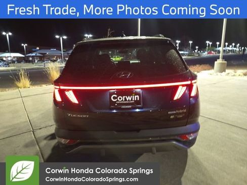 Used 2023 Hyundai Tucson Limited image 6