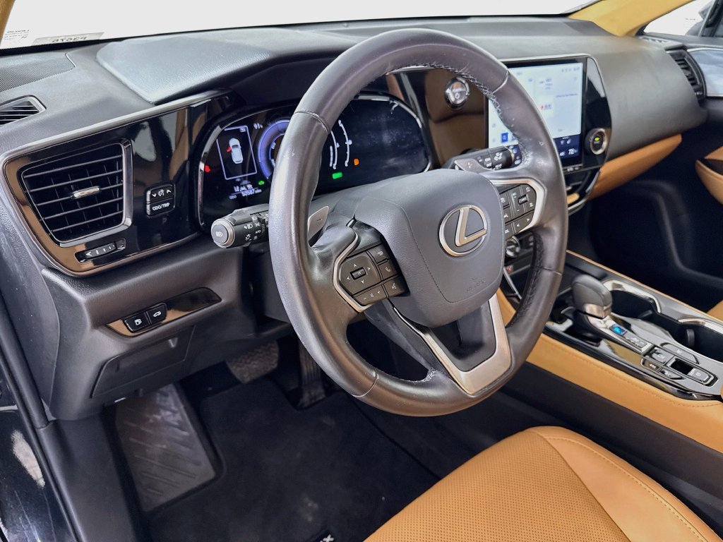Certified 2025 Lexus NX 350h AWD w/ Cold Area Package image 9