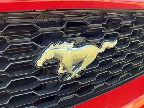 Used 2017 Ford Mustang Premium w/ Wheel & Stripe Package RWD image 5