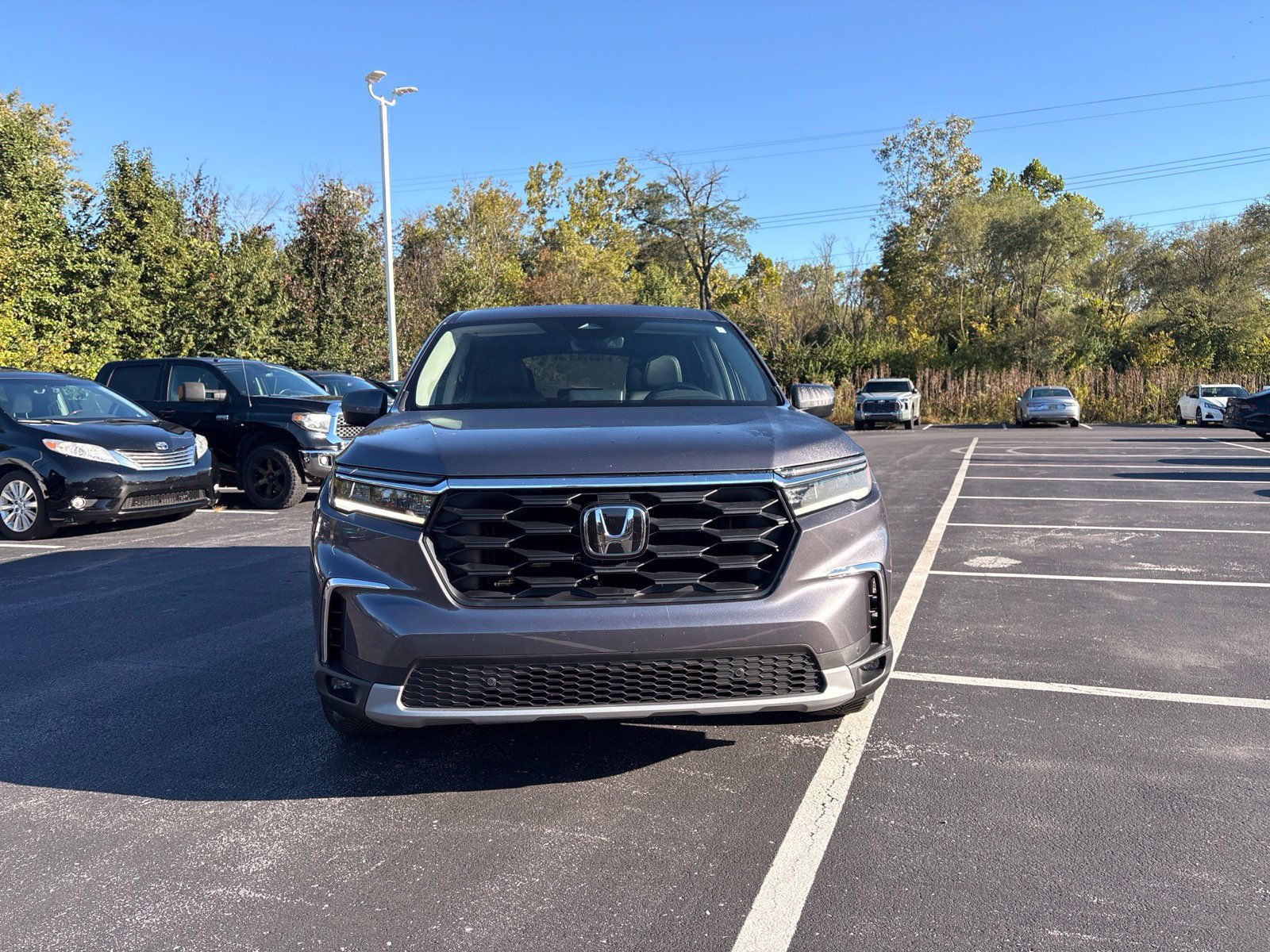Used 2025 Honda Pilot EX-L image 11