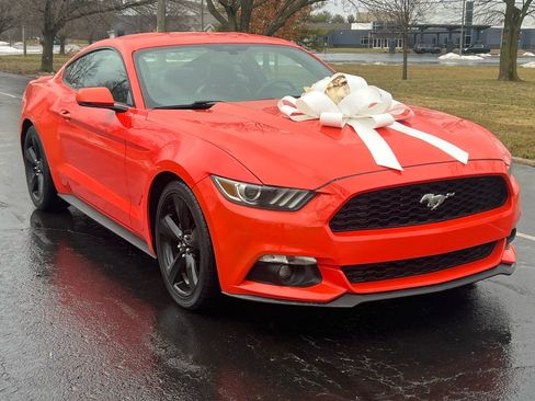 Used 2015 Ford Mustang Premium image 3