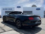 Used 2023 Ford Mustang Premium image 4
