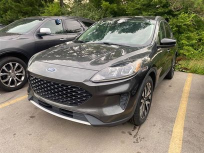 Used 2020 Ford Escape SE Sport