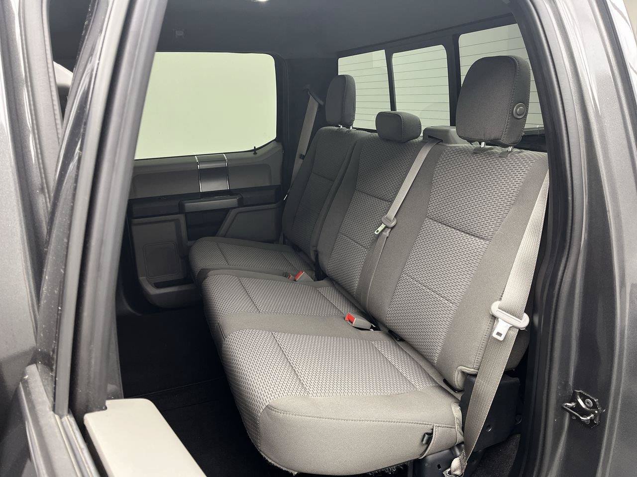 Used 2019 Ford F150 XLT w/ Equipment Group 302A Luxury AWD/4WD image 14