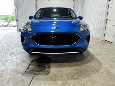 Used 2020 Ford Escape SE AWD/4WD image 3