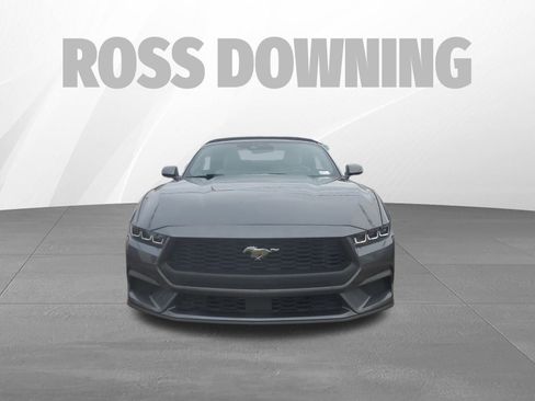 Used 2024 Ford Mustang Premium image 3