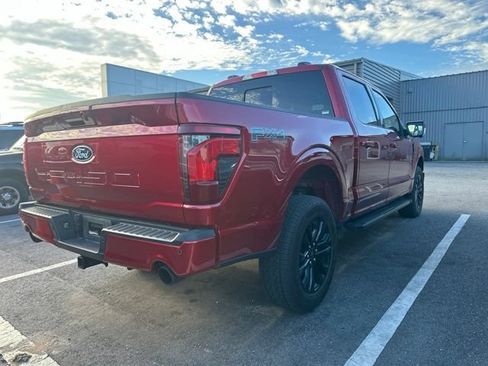Used 2025 Ford F150 XLT w/ Equipment Group 303A High AWD/4WD image 5