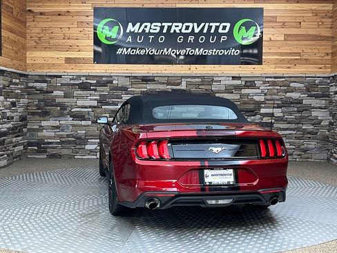 Used 2019 Ford Mustang Convertible w/ Equipment Group 101A RWD image 18