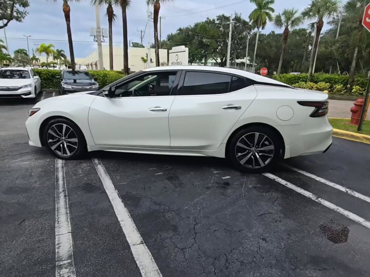 Used 2019 Nissan Maxima 3.5 SL w/ Floor Mat Group FWD image 2
