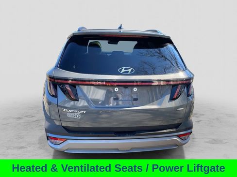Used 2025 Hyundai Tucson Limited AWD/4WD image 4