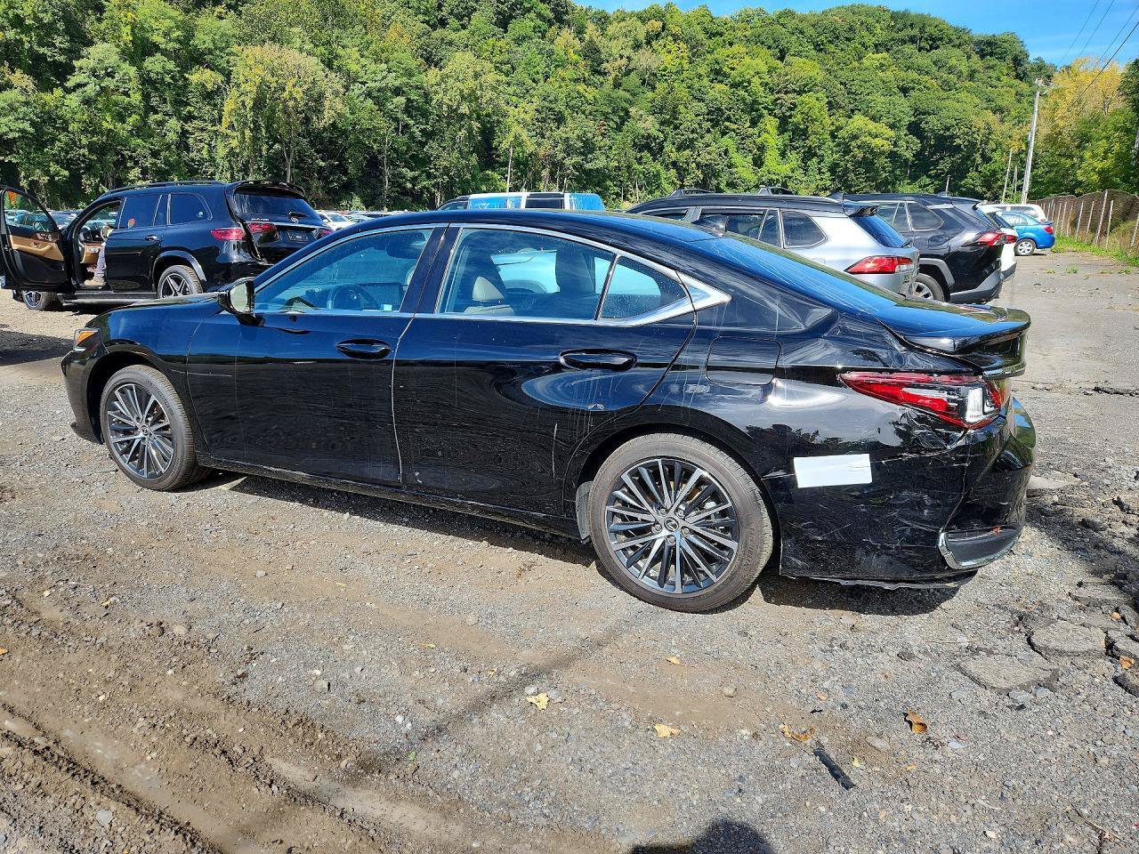 Used 2024 Lexus ES 250 w/ Premium Package AWD/4WD image 3