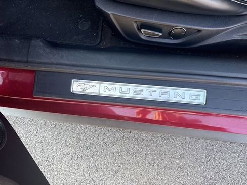 Used 2015 Ford Mustang GT Premium w/ Equipment Group 401A image 9