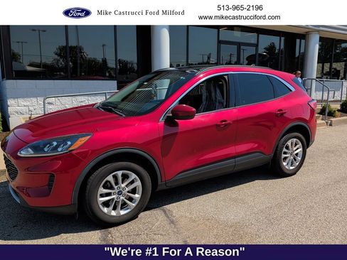 Used 2020 Ford Escape SE AWD/4WD image 6