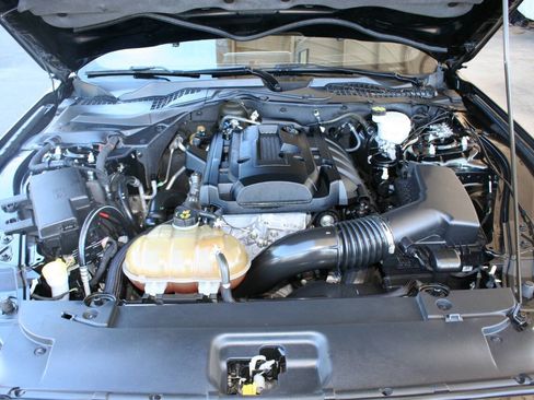 Used 2015 Ford Mustang Premium w/ Equipment Group 201A RWD image 12