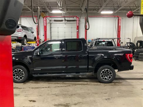 Used 2023 Ford F150 XLT w/ Equipment Group 302A High image 6