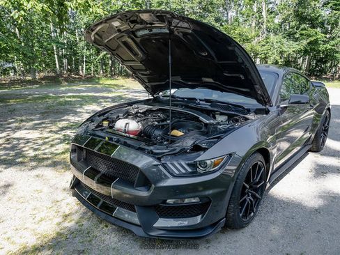 Used 2015 Ford Mustang Shelby GT350 RWD image 21