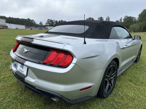 Used 2019 Ford Mustang Premium image 8