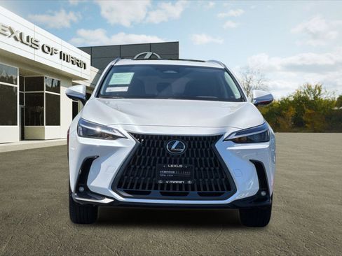Used 2025 Lexus NX 350h AWD w/ Cold Area Package image 6