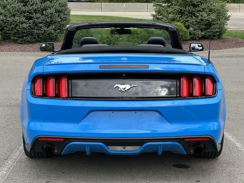 Used 2017 Ford Mustang Premium RWD image 4