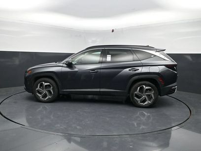 Used 2024 Hyundai Tucson Limited