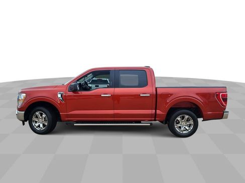 Used 2023 Ford F150 XLT w/ Equipment Group 301A Mid image 5