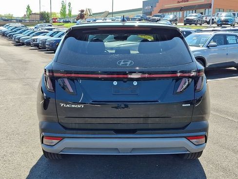 Used 2025 Hyundai Tucson Limited AWD/4WD image 5